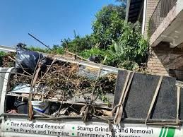 Best Demolition Debris Removal  in Shannon, MS